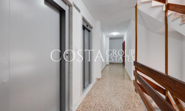 Resale - Apartments -
Torrevieja - Torrevieja Centro