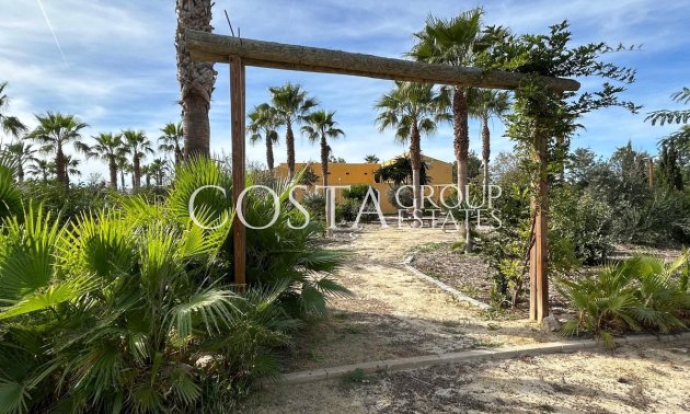 Herverkoop - Huis -
Dolores - Dolores Centro