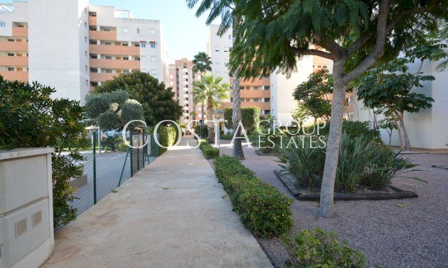 Wiederverkauf - Apartments -
Guardamar del Segura - Guardamar del Segura Centro