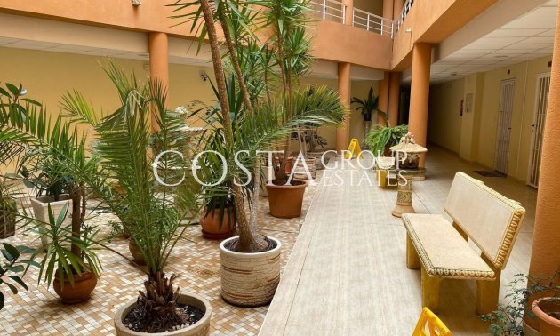 Herverkoop - Apartments -
San Miguel de Salinas - San Miguel de Salinas Centro