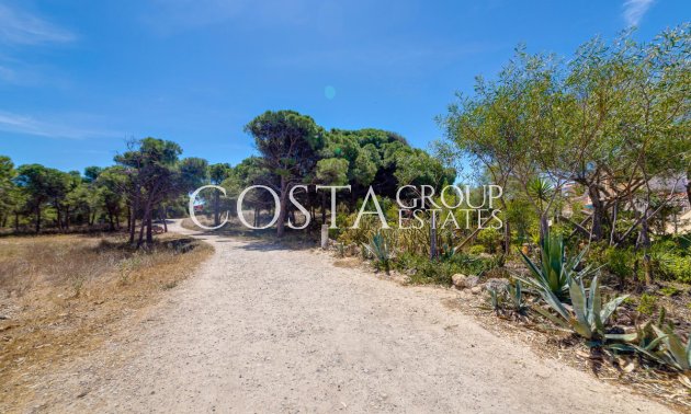 Herverkoop - Apartments -
Guardamar del Segura - Guardamar del Segura Centro