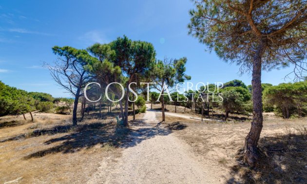 Herverkoop - Apartments -
Guardamar del Segura - Guardamar del Segura Centro