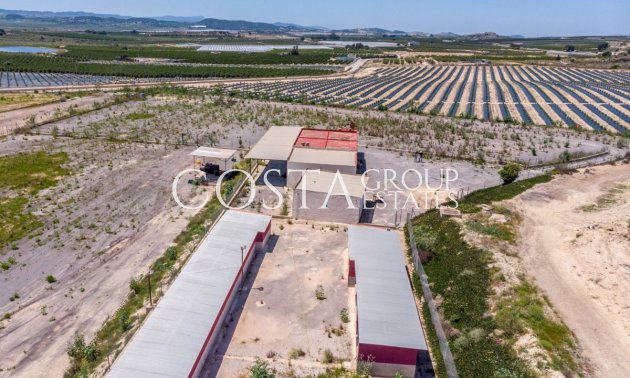 Herverkoop - Villa -
Los Montesinos - Los Montesinos Centro