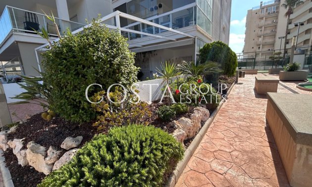 Herverkoop - Apartments -
Guardamar del Segura - Guardamar del Segura Centro