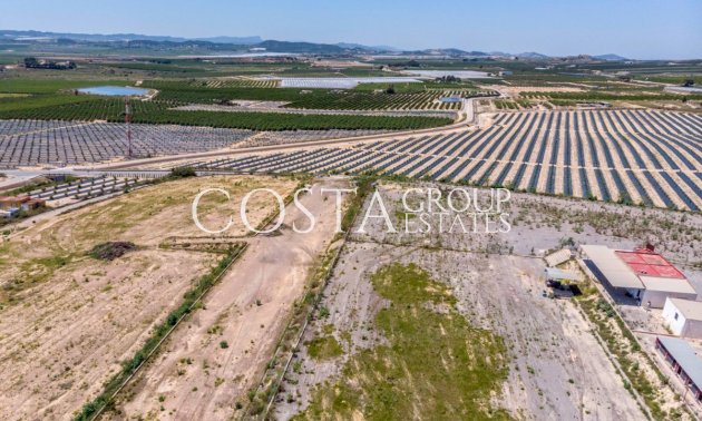 Wiederverkauf - Villa -
Los Montesinos - Los Montesinos Centro