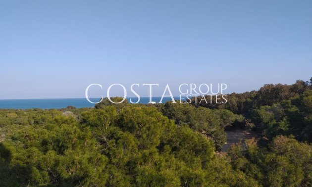 Nouvelle construction - Apartments -
Guardamar del Segura - Guardamar Del Segura