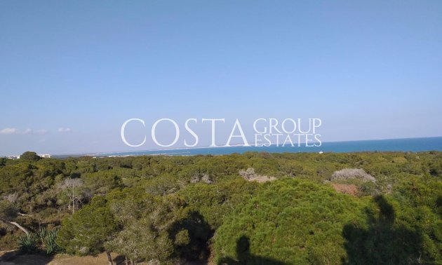 Nowy budynek - Apartments -
Guardamar del Segura - Guardamar Del Segura