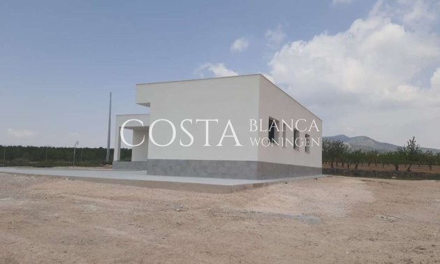 Nieuwbouw Woningen - Villa -
Pinoso