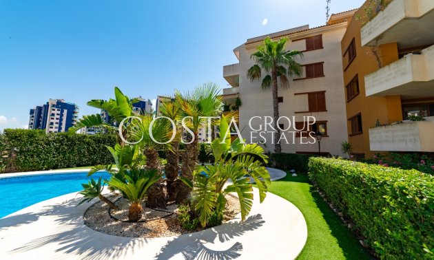 Odsprzedaż - Apartments -
Orihuela Costa - Punta Prima