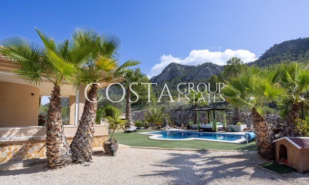 Odsprzedaż - Willa -
Jumilla - La Zarza