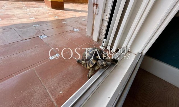 Odsprzedaż - Willa -
San Miguel de Salinas - San Miguel de Salinas Centro