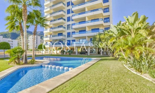Odsprzedaż - Apartments -
Calpe - Calpe Centro