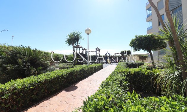 Odsprzedaż - Apartments -
Guardamar del Segura - Guardamar del Segura Centro