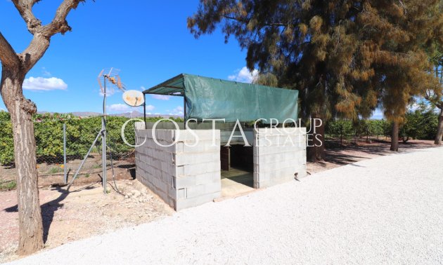 Odsprzedaż - Willa -
Callosa de Segura - Callosa de Segura Centro