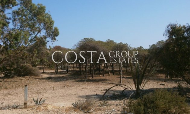 Odsprzedaż - Apartments -
Guardamar del Segura - Guardamar del Segura Centro