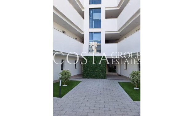 Resale - Apartments -
San Miguel de Salinas - San Miguel de Salinas Centro