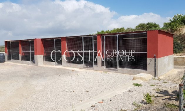 Odsprzedaż - Willa -
Los Montesinos - Los Montesinos Centro