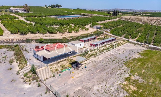 Odsprzedaż - Willa -
Los Montesinos - Los Montesinos Centro