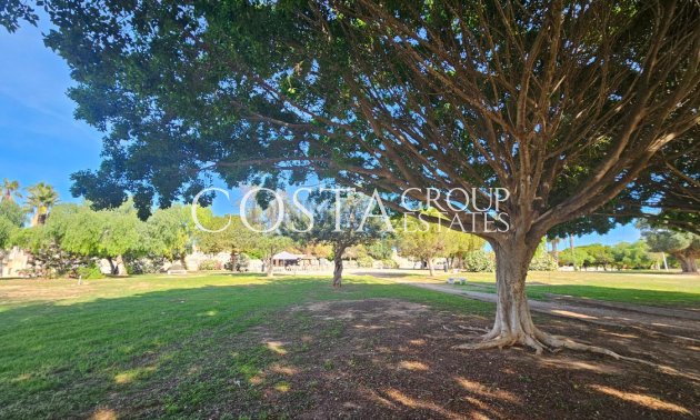 Odsprzedaż - Apartments -
Torrevieja