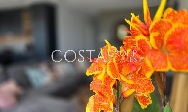 Odsprzedaż - Willa -
Los Montesinos - Los Montesinos Centro