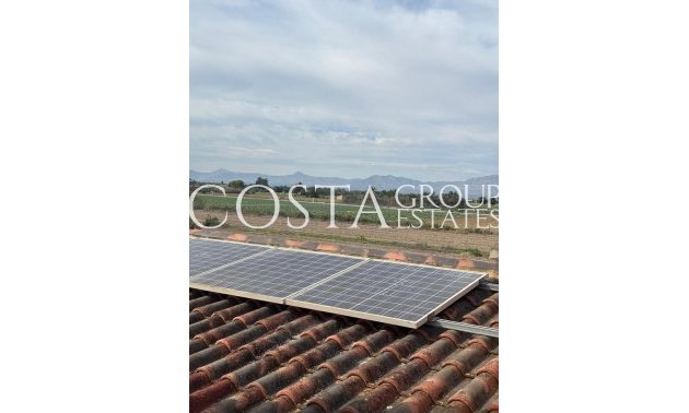 Odsprzedaż - Willa -
Dolores - Dolores Centro