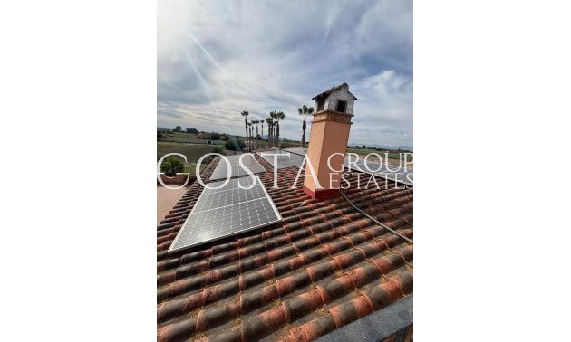 Odsprzedaż - Willa -
Dolores - Dolores Centro