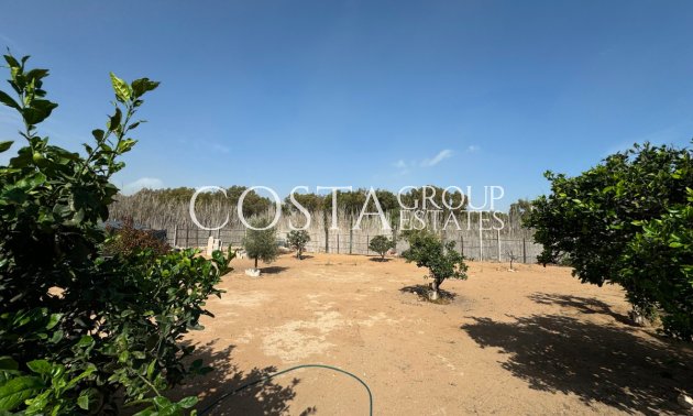 Resale - Villa -
Guardamar del Segura - Guardamar del Segura Centro