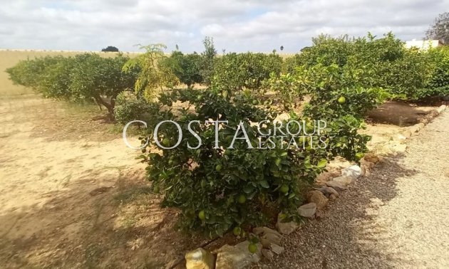 Revente - Villa -
San Javier - San Javier Centro