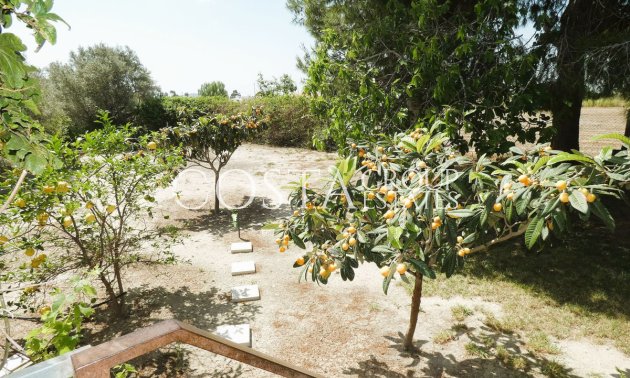 Wiederverkauf - Villa -
Dolores - Dolores Centro