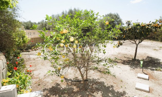 Wiederverkauf - Villa -
Dolores - Dolores Centro