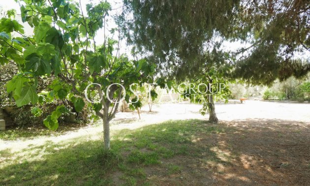 Wiederverkauf - Villa -
Dolores - Dolores Centro