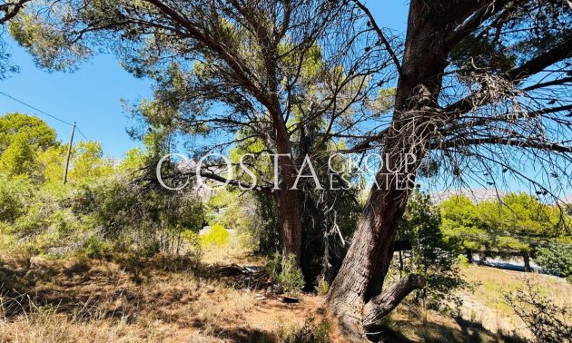 Resale - Villa -
Altea - Altea Centro