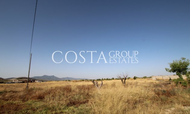 Herverkoop - Villa -
Jumilla - Torre del Rico