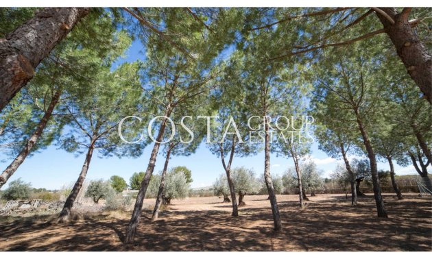 Wiederverkauf - Villa -
Yecla - Yecla Centro