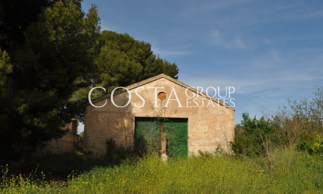 Herverkoop - Villa -
Yecla - Yecla Centro