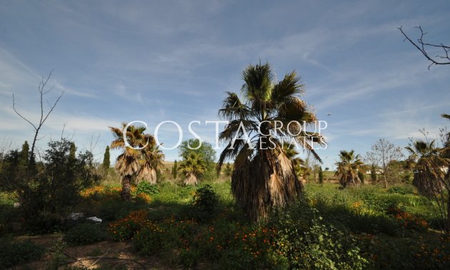 Herverkoop - Villa -
Yecla - Yecla Centro