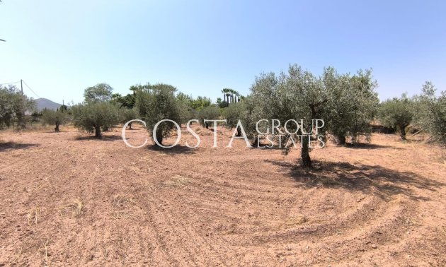 Revente - Villa -
Jumilla - Jumilla Centro