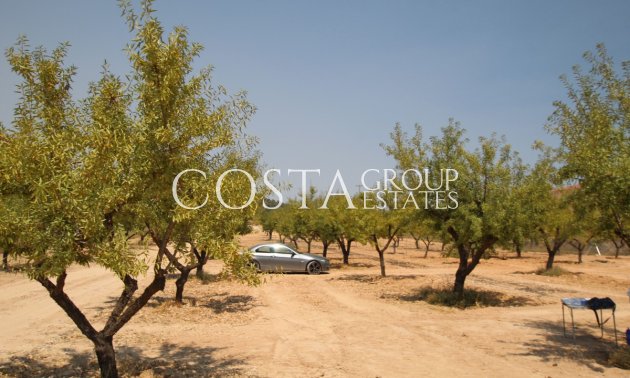 Resale - Villa -
Pinoso - Pinoso Centro