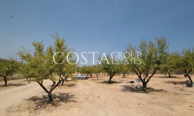 Resale - Villa -
Pinoso - Pinoso Centro