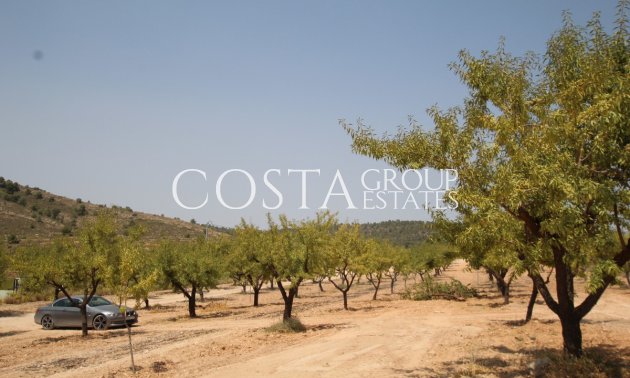 Resale - Villa -
Pinoso - Pinoso Centro