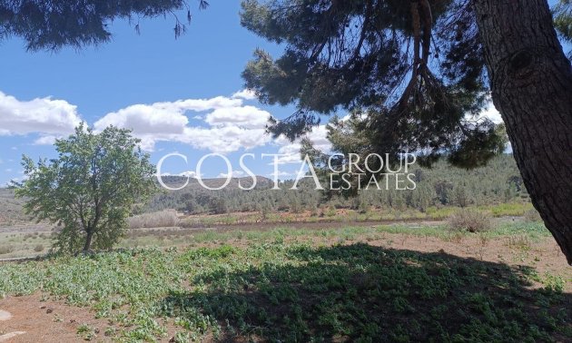 Herverkoop - Villa -
Yecla - Yecla Centro