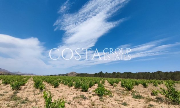 Wiederverkauf - Villa -
Yecla - Yecla Centro