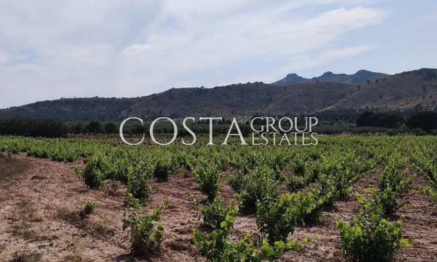 Wiederverkauf - Villa -
Yecla - Yecla Centro