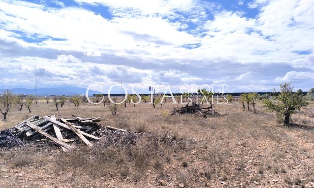 Herverkoop - Villa -
Yecla - Yecla Centro