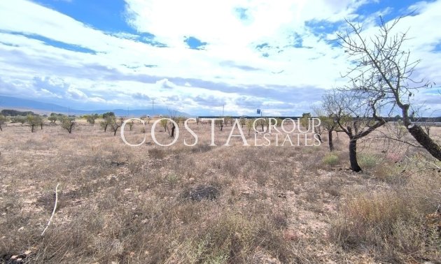 Herverkoop - Villa -
Yecla - Yecla Centro