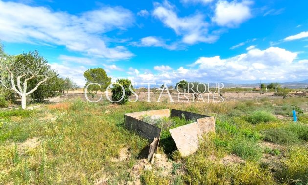 Herverkoop - Villa -
Yecla - Yecla Centro