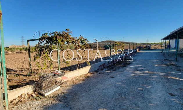 Herverkoop - Villa -
San Miguel de Salinas - San Miguel de Salinas Centro