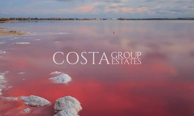 Nieuwbouw Woningen - Apartments -
Torrevieja - Lago Jardín II