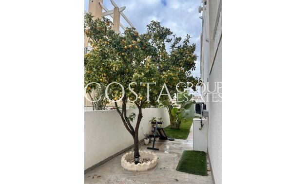 Revente - Villa -
Torrevieja