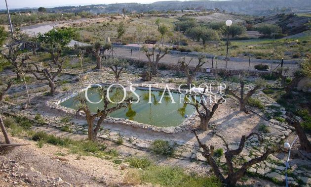 Revente - Villa -
Abanilla - Abanilla Centro